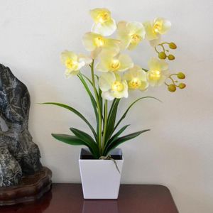 Dekorativa blommor Colors LEDS Phalaenopsis Pot Lamp cm Artificial Flower Real Touch Latex Silicon Bonsai Lighting