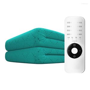 Cobertores Clanta elétrica Controle duplo Regulação da regulação do colchão Inteligente Pessoa única Segurança à prova d'água 220V