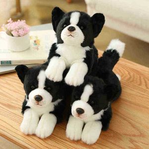 Simulação border collie cão cão fofinho brinquedo super hound de alta qualidade para luxuros decoração de casa amante de animal de estimação Gift de aniversário j220729