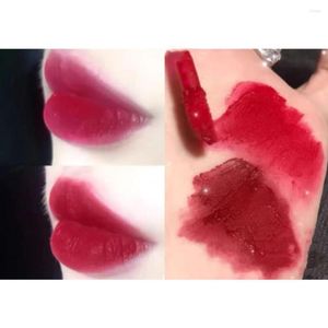 Lip Gloss Makeup Healthy Cosmetics Natural Liquid Lipstick