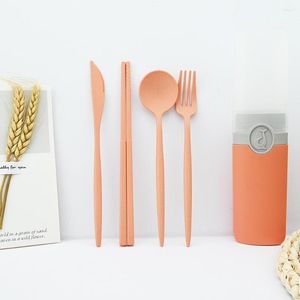 Flatware Defina Dinnerware Orange Wheat Wheat Straw 4/6/8/10 Definir faca Fork Spoons Travel Cutlery Box portátil Japão estilo de cozinha de estilo de cozinha