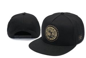 Специальные продажи горячего стиля Cayler Sons Caps Snapbacks Design Team Logo Sport Hats Hip Hop Caylor Sons Snapback Hats бесплатно доставка258 N1