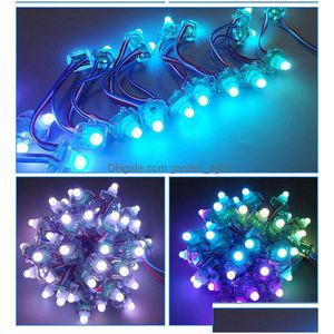 Светодиодные модули DC5V 12V WS2811 Pixel Light RGB Color Crown Diffused Digital Led String String IP68.