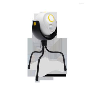 Menschlichen Körper Bewegung Induktion Rasen Lampen LED Smart Cartoon Lampe Trocken Batterie Wand Home Garten Fern Dekoration Licht