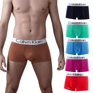 Mutande di alta qualità Calivn Klain Lettera Stampa Boxer da uomo Intimo Morbido Boxer Pantaloncini in cotone 3D Pantaloncini Mutandine maschili