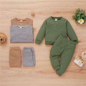 Conjuntos de roupas 0-24m Nascido infantil malha bebê garoto de menina conjunta de manga longa Hoodie calça outono de inverno casual calçada de algodão roupa de algodão