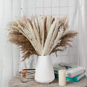 Decorative Flowers 80pcs Natural Reed Dried Flower White Brow Big Pampas Grass Bouquet Wedding Ceremony Decoration Modern Home