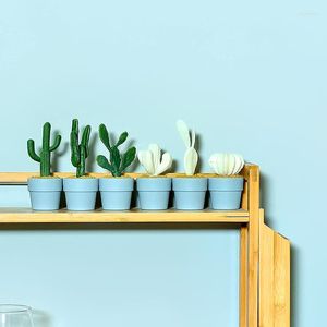 Decorative Flowers 6pcs/set Mini Cute Cactus Assortment Little Artificial Plants Small Faux Decoration For Space Studio Bookshelf