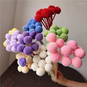 Dekoratif Çiçekler 10 PCS 2-3cm/30-35cm Korunmuş küçük altın top kuru saksılar sonbahar dekor ayçiçeği ev düğün dekorasyonu