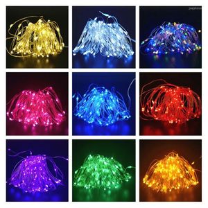 Dizeler 10 adet LED String Işık Teli Peri Sıcak Beyaz Çelenk Ev Doğum Günü Düğün Perde Dekorasyon Tatil Noel Işıkları
