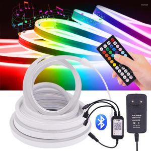 Strips DC V RGB Neon Strip Light With EU US UK AU Power Supply Remote Bluetooth Music Control SMD Flexible Ribbon LED