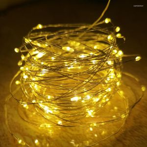 Strängar USB LED Copper Wire String Lights Holiday Fairy Outdoor Lamp Garland Luces For Christmas Tree Decor Wedding Decoration