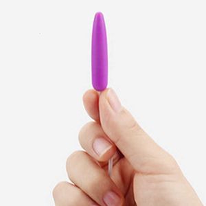 Massager Rechargeable Vibrating Bullet Egg g Spot Vibrator Clitoris Massage Anal Vagina Pussy Urethra Stimulation Sex Toys for Women Men