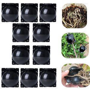 Planters & Pots 10pcs Plastic Case Propagation Box Grafting Rooter Growing High-pressure Breeding Ball Fruit Plant Tree Rooting Root