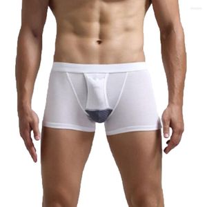 Underbyxor scrotumseparation herr trosor modala underkläder män boxare escroto påse mitt stigande sexiga glid hål andas vit vit