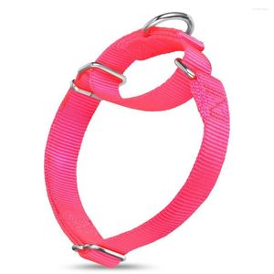 Hundekragen Martingale Nylonkragen für kleine mittlere und große Hunde Haustiervorräte