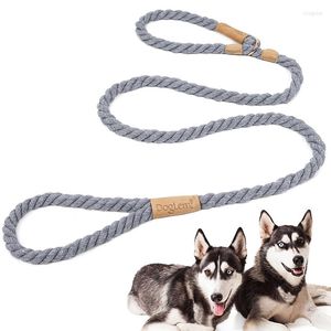 Collari per cani guinzaglio guinzaglio in corda intrecciata resistente resistente senza guinzagli per addestramento guinzagli