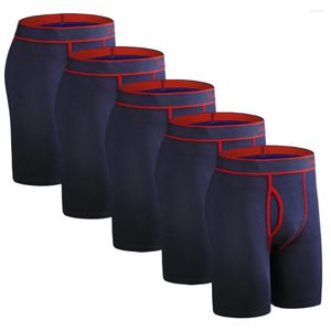 Mutande 5 pezzi Boxer lunghi Mutandine di cotone da uomo Intimo aperto Boxer da uomo Pantaloncini sexy Per