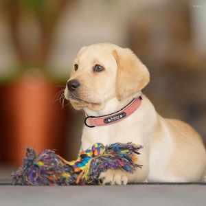 Hundehalsbänder, personalisiertes, individuelles Leder-ID-Tag mit Namensschild für kleine, mittelgroße und große Hunde. Halsband Perro Coleira Cachorro