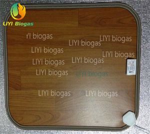top popular LIYI Floor heating pad graphene Heat yoga mat Electric heating carpet for hone biogas plant 2023
