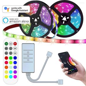 شرائط LED Strip Light Kit ذكي مخصص 12V RGB مرنة WiFi Alexa Voice 24Key RF التحكم عن بُعد