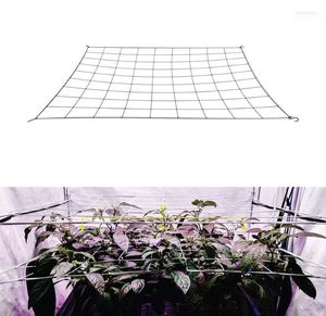 Planters POTS 4 '' Mesh Trellis Netting Plant Support Elastic Scrog/ LST/ HST NET med krokar för inomhusväxter Box Kit Low