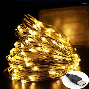 Strings 2M/5M/10M Copper Silver Wire USB LED String Lights Holiday Lighting For Fairy Christmas Tree Garland Wedding Party Decoration