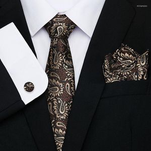 Bow Ties Gold Brown Paisley Erkekler Hanky ​​Kemer