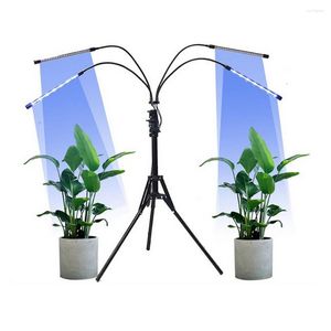 Wachstumslichter 36W 5V LED-Licht USB Rot Blau Hydrokultur-Pflanzenzuchtstange Klappständer Fernbedienung Blumenfüllung