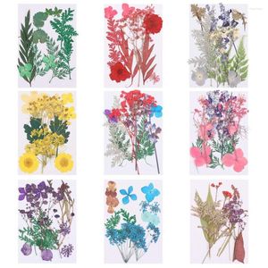 Dekorativa blommor Färgglada naturliga torkade blommorpressade blandade blad Verklig växthartsform Fyllning Diy Material Scrapbooking Decoration