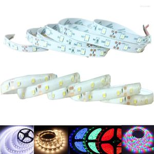 Remsor lysdioder remsa SMD 3528 60LED 1M/2M/3M/4M/5M Bandskåp garderob dekoration lamp sovrum kök belysning flexibelt rgb LED -ljus