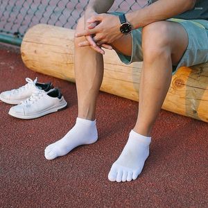 Men's Socks 4 Seasons Five Fingers Solid Color Cotton Sweat Sport Boat Japanese Style Fashion Breathable Brand Mesh Sokken