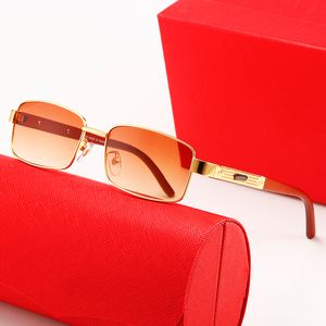 Óculos de sol dos designers de homens