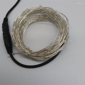 Strings 10M 100 LED Outdoor Christmas Fairy Lights Warm White Copper Wire Starry Light DC 12V String Decoration No Adapter