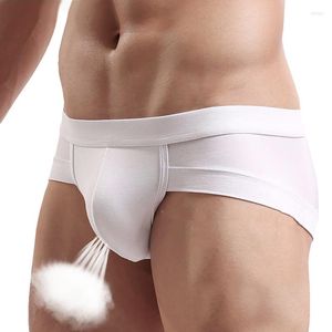 Mutande Sexy Vita bassa Slip da uomo traspiranti Confortevole intimo modale Moda Tinta unita Taglie forti Triangolo elastico