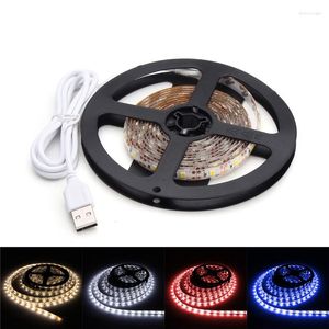 Strips 2M 2835 SMD Waterproof USB LED Strip Light Pure White Warm Red Blue With Reel Backlight For Home DC5V