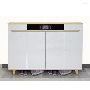 Clothing Storage Wood Shoes Cabinet With Cleaner Ozone Sterilization Deodorization 2-Drawer 4-Door Modern Organizer