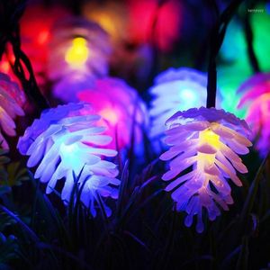 Stringhe AC110-220V 4M 20LEDs RGB LED Luci a stringa Ghirlanda di Natale Decorazione per feste in giardino Decorazioni per matrimoni per la fata della sala