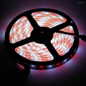 ストリップRGBW LEDストリップ5M DC12V RGBコールドホワイトリボンランプSMD