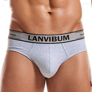 Mutande Mens Cotton Sexy Sports Underwear Slip Cintura elastica maschile Bikini Mutandine traspiranti Gay Home Pantaloncini bianchi