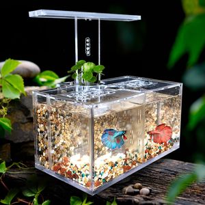 Akvarier Akrylfisk Tank Free Water Exchange Isolation Box With LED Desk Lamp Water Pump Filter Akvarium Kontor Desktop Decoration 2201007