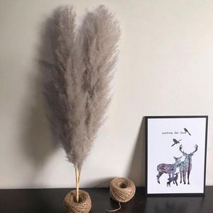 Decorative Flowers cm Pampas Large Natural Dried Bouquet For Decoration Fluffy Living Room Grey Color Grass Wedding