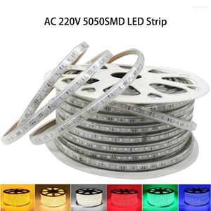 Remsor LED -remsa 60LEDS/M SMD Vattentät flexibel bandlampa 220V Färgband Backlight Night Light Outdoor String Diy Home Decor