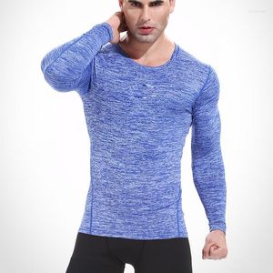 Gym Clothing D730 Compression Tights Base Layer Running Fitness Exercise Soccer Basketball Men Sports Shirt Jersey Sportswear