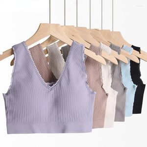 Bustiers Corsets Sreeveless Women Crop Top Seamless Bralette Basic Tube One-Piece Striped Padded Lingerie Solid Bra