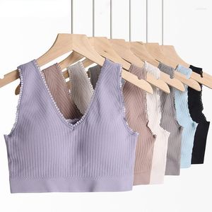 Bustiers Corsetsets Mulheres sem mangas Cultura Top Top Bralette Balette básico Tubo de uma peça Lingerie acolchoada lingerie sutiã sólida