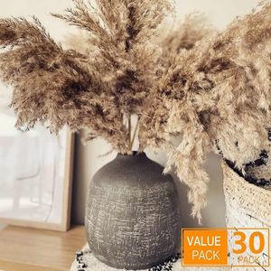 Decorative Flowers Total 30pcs Pampas-Grass Pompous Dried Pampass Plants Fluffy Pompas Grasses Small Pompus Short