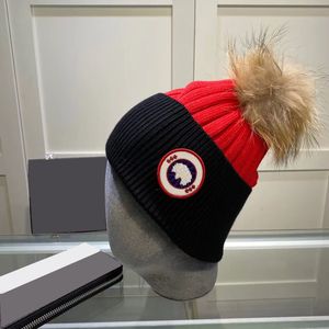 Tasarımcı Örme Hats Ins Popüler Kanada Kış Şapkaları Mektup Kaz Pom Beanie Sıcak Yün Kapaklar Kış Kayak Açık Soğuk Kapak 7 Colos