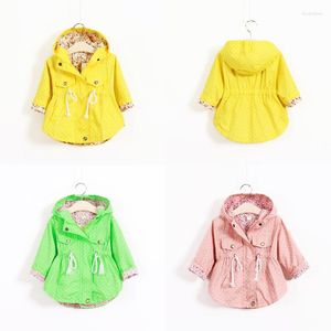 Coat Children's Clothing Kids Cotton Trench Girls' Cartoon Batwing -selling Hoodies Jackets Girls Fashion