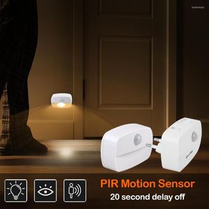 Night Lights Motion Detector Light Plug In Sensor 220V Socket Lamp Battery Powered For Bedside Closet Aisle Hallway Stairs